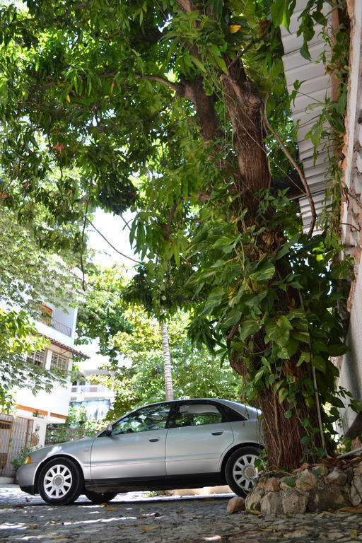 Pacot Breeze Hotel Musseau Exterior photo